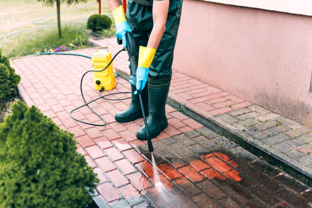 Best Local Pressure Washing Services  in Stacy, MN