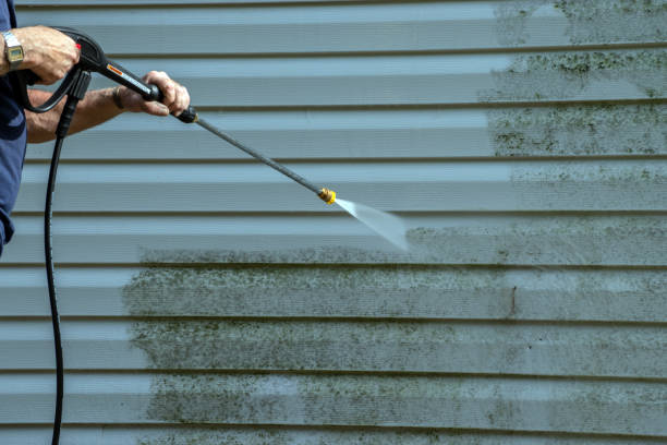 Best Commercial Building Pressure Washing  in Stacy, MN