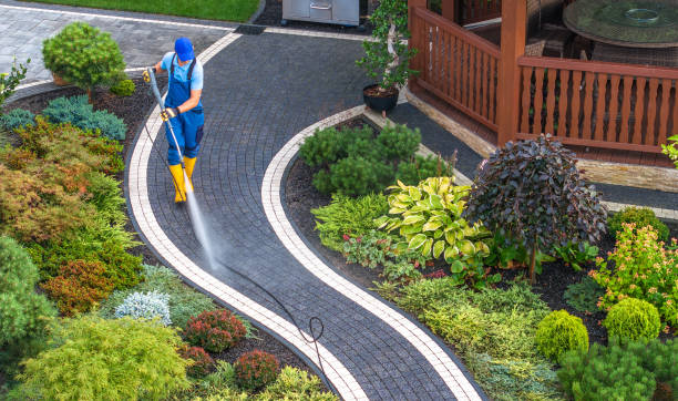 Best Residential Pressure Washing Services  in Stacy, MN