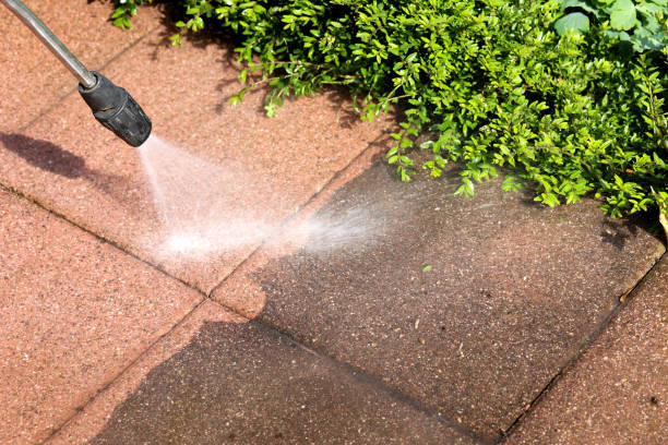 Deck Cleaning Services in Stacy, MN