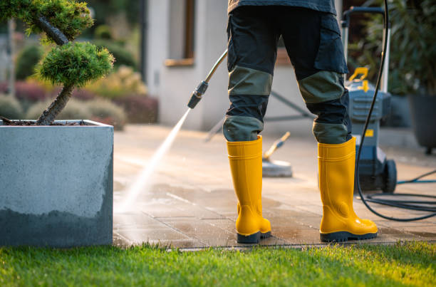 Best Deck Cleaning Services  in Stacy, MN